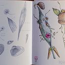 Concherba in viaggio verso non si sa dove. Drawing, Naturalistic Illustration, Pencil Drawing, Sketchbook, and Watercolor Painting project by Claudia Foroni - 05.24.2026
