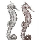 Pen and Ink. Een project van Traditionele illustratie,  Tekening, Realistische tekening y Naturalistische illustratie van vjohnston - 31.05.2026