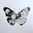 Wspomnienia letnich nocy Ein Projekt aus dem Bereich Artistische Zeichnung, Zeichnung, Naturalistische Illustration und Bleistiftzeichnung von Wioleta Przybysz - 09.06.2026