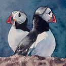 Paint Two Puffins in Watercolour: 4 Colours, 1 Brush and Salty Rock Effects Ein Projekt aus dem Bereich Aquarellmalerei und Malerei von Sarah Stokes - 24.06.2026