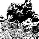 Postcard 1000. Un proyecto de Dibujo e Ilustración tradicional de Shok Han Liu - 06.07.2026