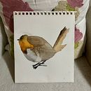 Ave Chucao Ein Projekt aus dem Bereich Traditionelle Illustration, Aquarellmalerei, Realistische Zeichnung und Naturalistische Illustration von Catalina Belén Barrientos Cárdenas - 18.07.2026