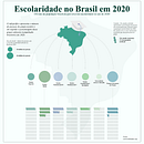 Educação no Brasil em 2020. Design, Graphic Design, and Digital Illustration project by Matheus Santos da Silva - 07.22.2026