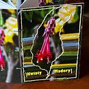 Techniki oprawy DIY. Fine Arts, Bookbinding, and DIY project by Joanna Zakrzewska - 07.28.2026