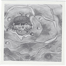 #1 Técnicas de ilustración infantil en Sketchbook. . Ilustração tradicional, e Desenho projeto de Mamá Bonsai - 29.07.2026