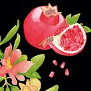Botanical Illustration with Watercolors X Domestika Ein Projekt aus dem Bereich Traditionelle Illustration von Silvia Kühn - 31.07.2026