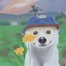 PEACE DOG. Een project van Digitale illustratie van joansebastianvg - 08.08.2026