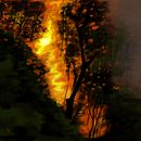 Incendio forestal. Digital Illustration project by benjamin_vegaillanes - 08.09.2026