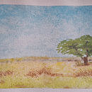 Lonely Acacia Tree. Un progetto di Disegno di mutwafyswabra - 09.08.2026