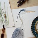 Ilustración naturalista de la garza real (Ardea cinerea). Un progetto di Illustrazione tradizionale e Disegno di Vilma Abril Bachs Berntsson - 10.08.2026