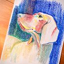 Soft Pastel. Un projet de Illustration traditionnelle, Beaux Arts, Dessin, Dessin de portrait , et Dessin artistique de Sabrin Deirani - 15.08.2026