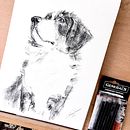 Bernese Mountain dog. Un projet de Beaux Arts, Dessin, Illustration à l'encre et Illustration naturaliste de Sabrin Deirani - 27.08.2026