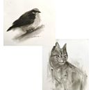 Dibujo al Carbón de un pájaro y gato a mi Estilo! . Design, Arte plastice și Desen de José Pablo Bernal Monrroy - 09.01.2026