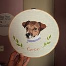 Bordado Coco . Broderie, Ilustrație naturalistă și Design textil de Cinthya Ramos - 09.05.2026
