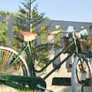 Organizarea spatiului verde din curtea casei. Un progetto di Design di Laczi Diana - 08.09.2026
