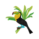 Forêt tropicale. Ilustração tradicional, Pattern Design, Desenho, Ilustração digital e Ilustração botânica projeto de Andrée Criqui - 11.09.2026