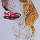 PROYECTO PERRITO ANDY. Un projet de Illustration traditionnelle , et Dessin de Enrique Medellín Rojas - 14.09.2026
