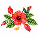 HIBISCULTURE. Un projet de Illustration traditionnelle, Beaux Arts, Peinture, Dessin, Aquarelle et Illustration botanique de stephaniaarango244 - 15.09.2026