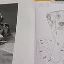 Perro. Een project van Traditionele illustratie, Tekening met potlood,  Tekening y Naturalistische illustratie van lidice1220 - 29.09.2026