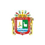 UNAP Universidad Nacional del Altiplano