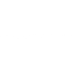 University of Pavia