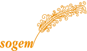 Escuela de Escritores SOGEM