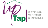 Universidad Politécnica de Tapachula