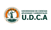 UDCA Universidad de Ciencias Aplicadas y Ambientales