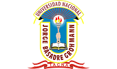 Universidad Nacional Jorge Basadre Grohmann