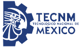 TecNM Tecnológico Nacional de México