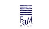 Faculta de música de la UNAM