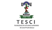 Tecnologico de Estudios Superiores de Cuautitlan Izcalli