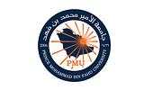 Prince Mohammad Bin Fahd University 