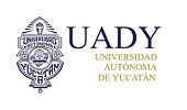 Universidad Autónoma de Yucatán