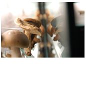 Museo de la Ciencia. Photograph project by oscar Vallés Gil - 11.06.2009