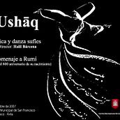Derviche. Design, Traditional illustration, Programming, and Advertising project by Juanjo Barcenilla - 02.23.2010