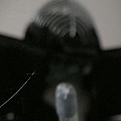 INTACT INSTINCT. Design, Motion Graphics, Film, Video, and TV project by rodrigo carvalho - 03.04.2010