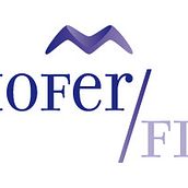 Mofer Finance. Design project by Jesús Ferrer - 03.31.2010
