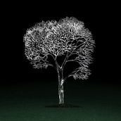 Easymov Reel 2009. Motion Graphics, and Advertising project by Veda Farahani - 04.14.2010