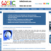 WSIC - We Sell IT Consultants. Een project van  Ontwerp e IT van iDisseny Solutions - 14.06.2010