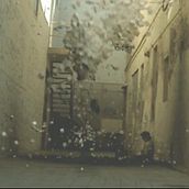 Delirium Tremens. Motion Graphics, Film, Video, and TV project by Jesús Pérez Doblas - 06.16.2010