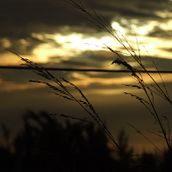 Fotos de paisajes . Fotografie de Denisse Loría - 08.15.2010
