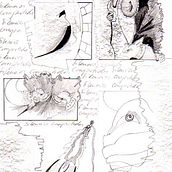 SILENCIOS COMPARTIDOS. Een project van Traditionele illustratie van Laura Grisolía Bencivenni - 11.12.2010