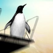Animal Planet Olímpico . Un projet de Design , Motion design, Cinéma, vidéo et télévision , et 3D de Rubén Fariñas - 09.11.2010