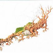 acuarelas.  projeto de German Java - 17.11.2010