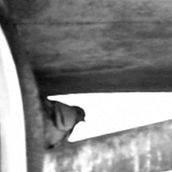 X35. Un proyecto de Diseño, Cine, vídeo, televisión y Música de Roberto Amorós - 03.12.2010