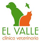 El Valle: Clínica Veterinaria. Projekt z dziedziny Design, Programowanie i UX / UI użytkownika El Chico Nube - 01.01.2011