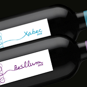 Malondro Wines. Un projet de Design  , et Publicité de clara_roma - 17.01.2011