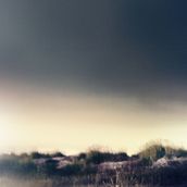 #6. Un projet de Photographie de Diego Meijido - 22.01.2011