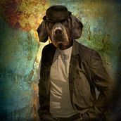 Lord Faycán Ein Projekt aus dem Bereich Design und Fotografie von Marta Díaz de Sancho - 08.02.2011